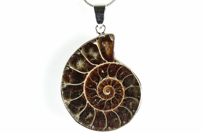 Fossil Ammonite Pendant - Million Years Old #306515